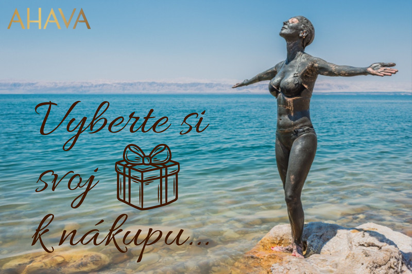 web darek k nakupu SK 2